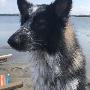 Meet your Posher, Kaelan